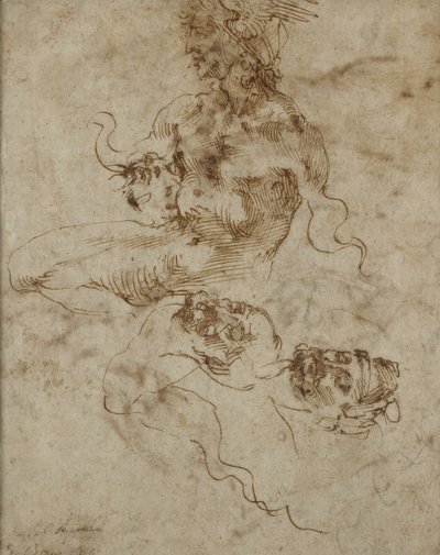 Studio di un giovane seduto, con studi della testa, c.1502 da Michelangelo Buonarroti